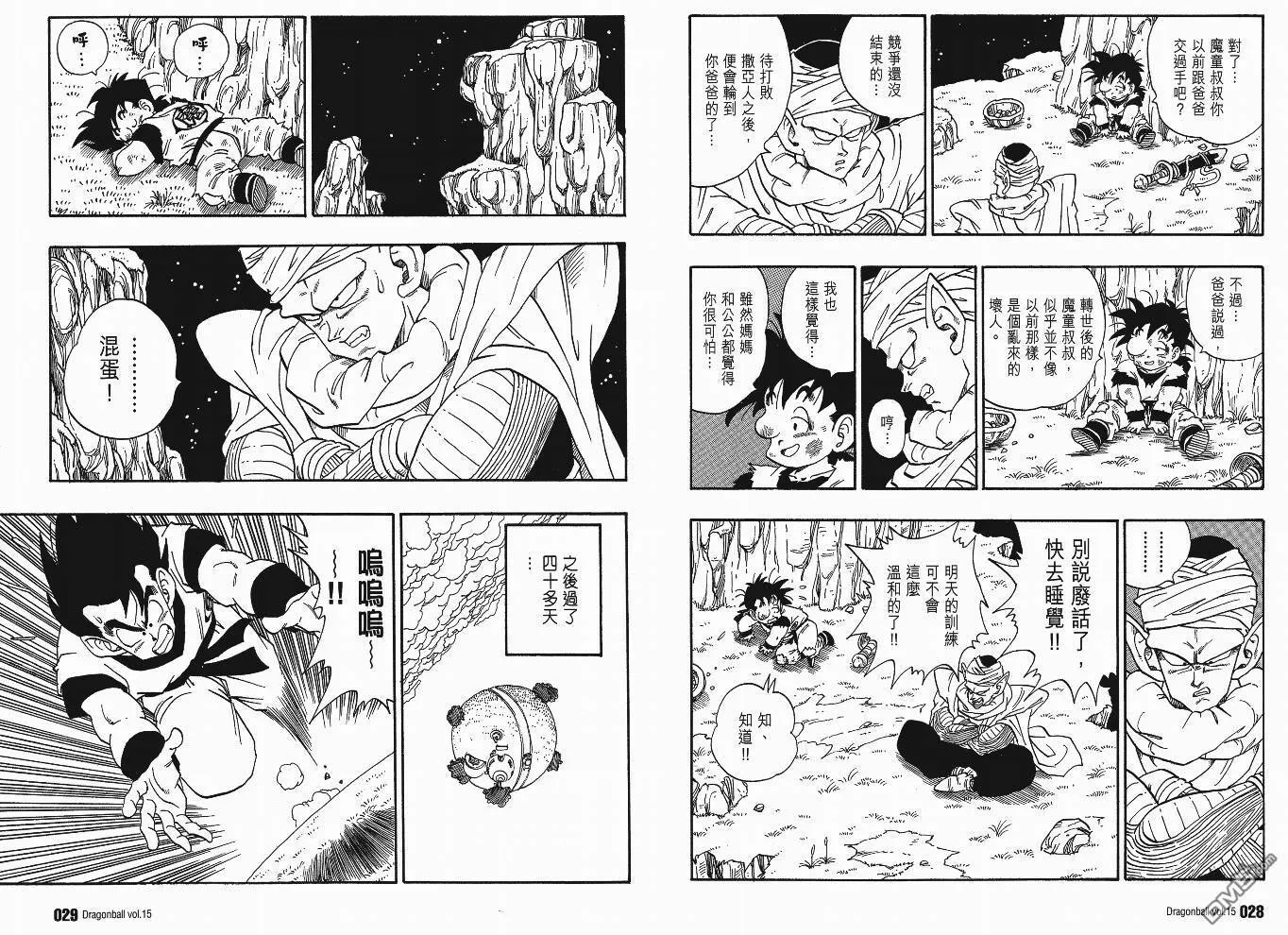 第15卷 第17页