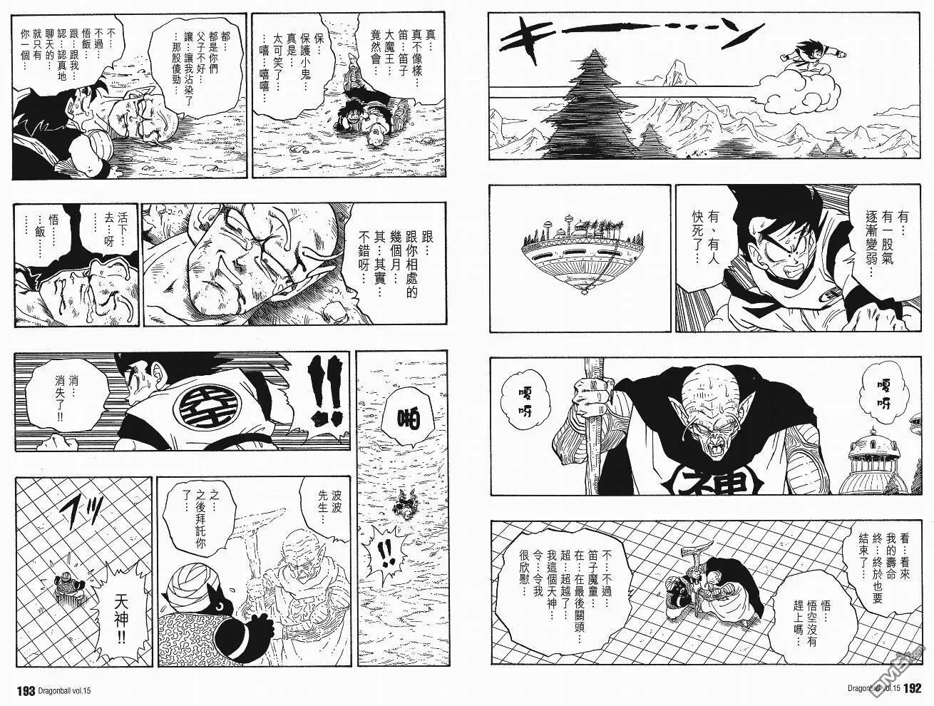 第15卷 第99页