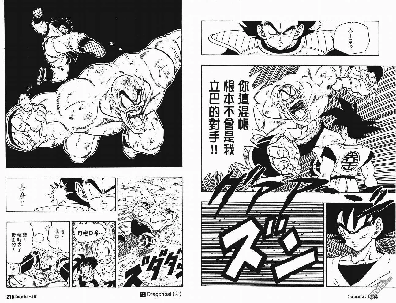 第15卷 第110页