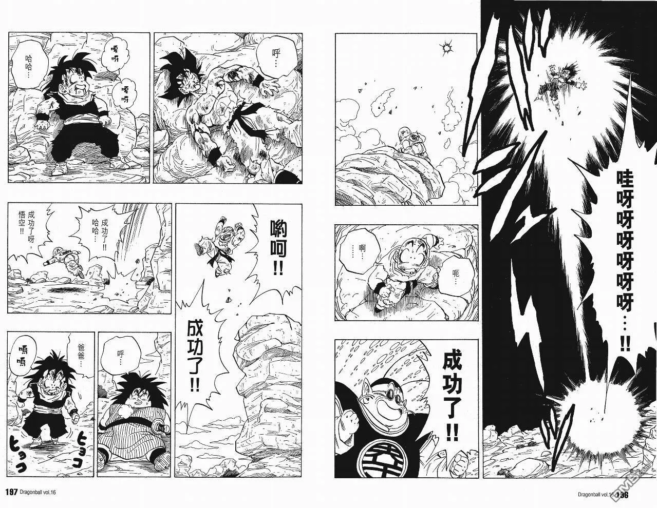 第16卷 第101页