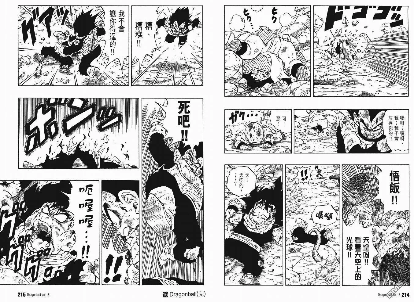 第16卷 第110页