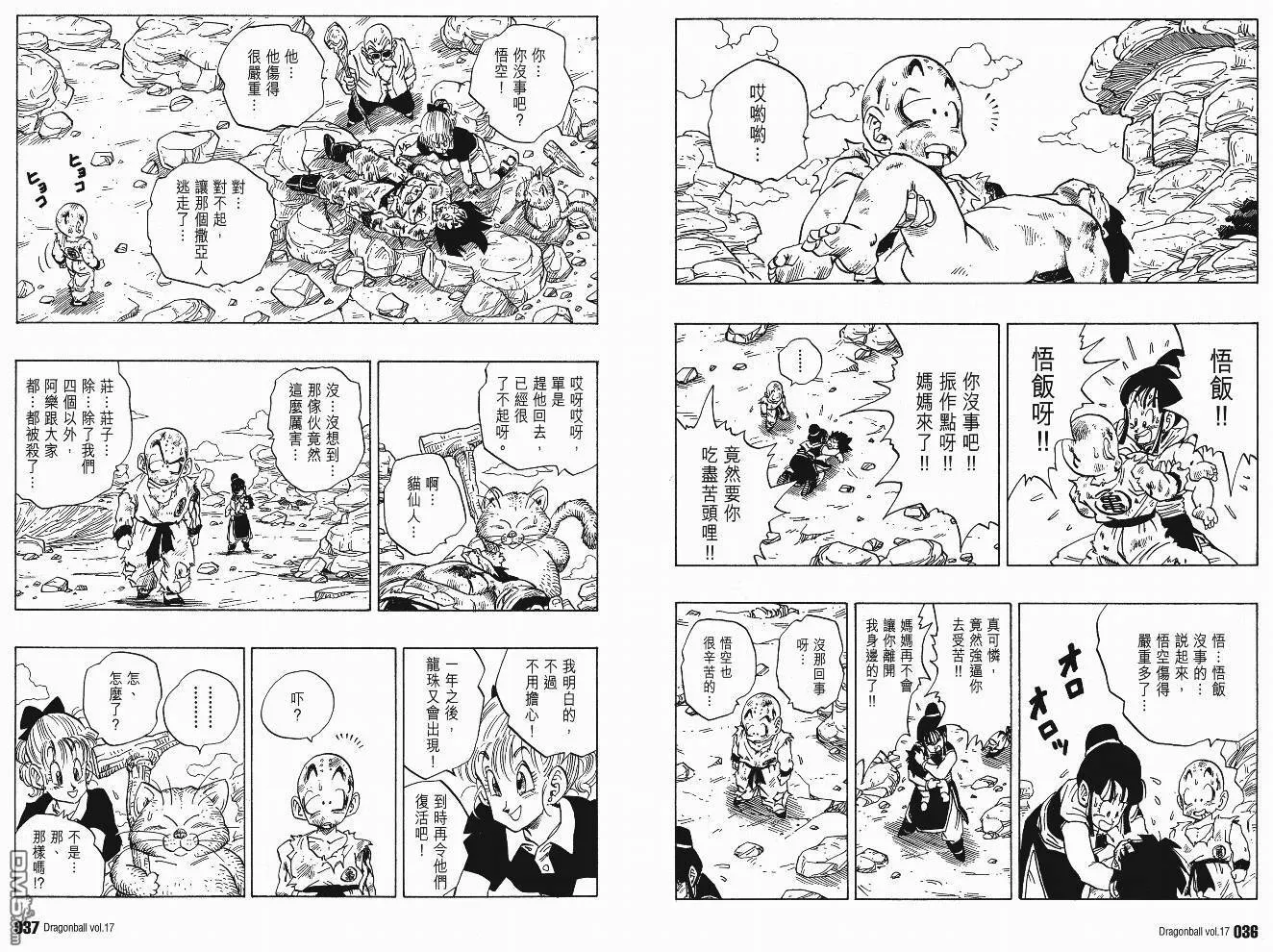 第17卷 第21页