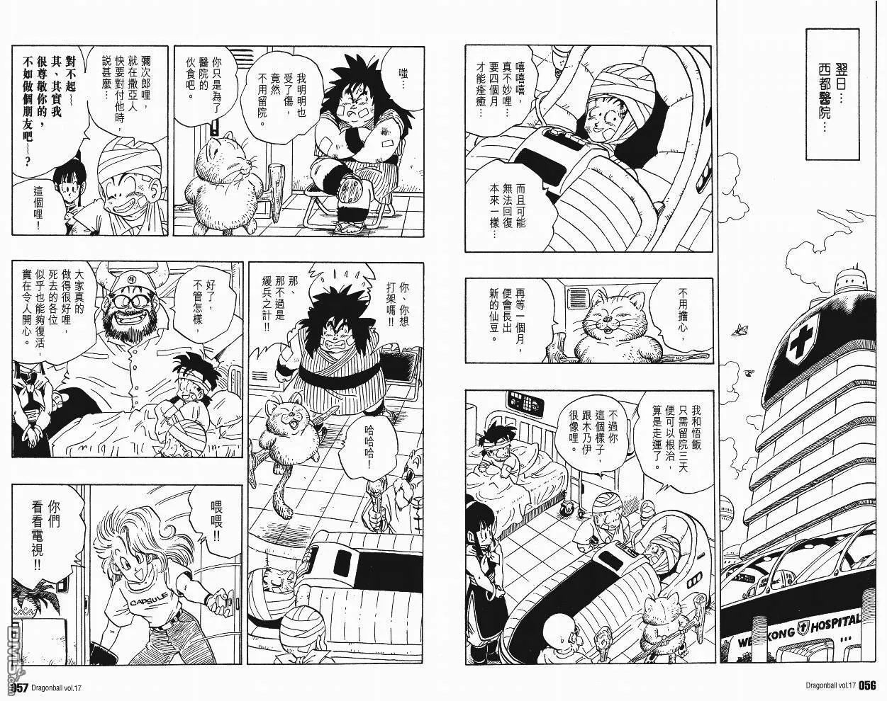 第17卷 第31页