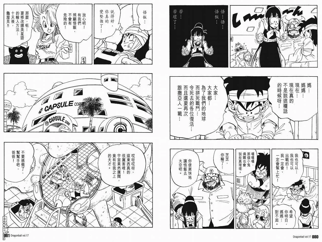 第17卷 第43页