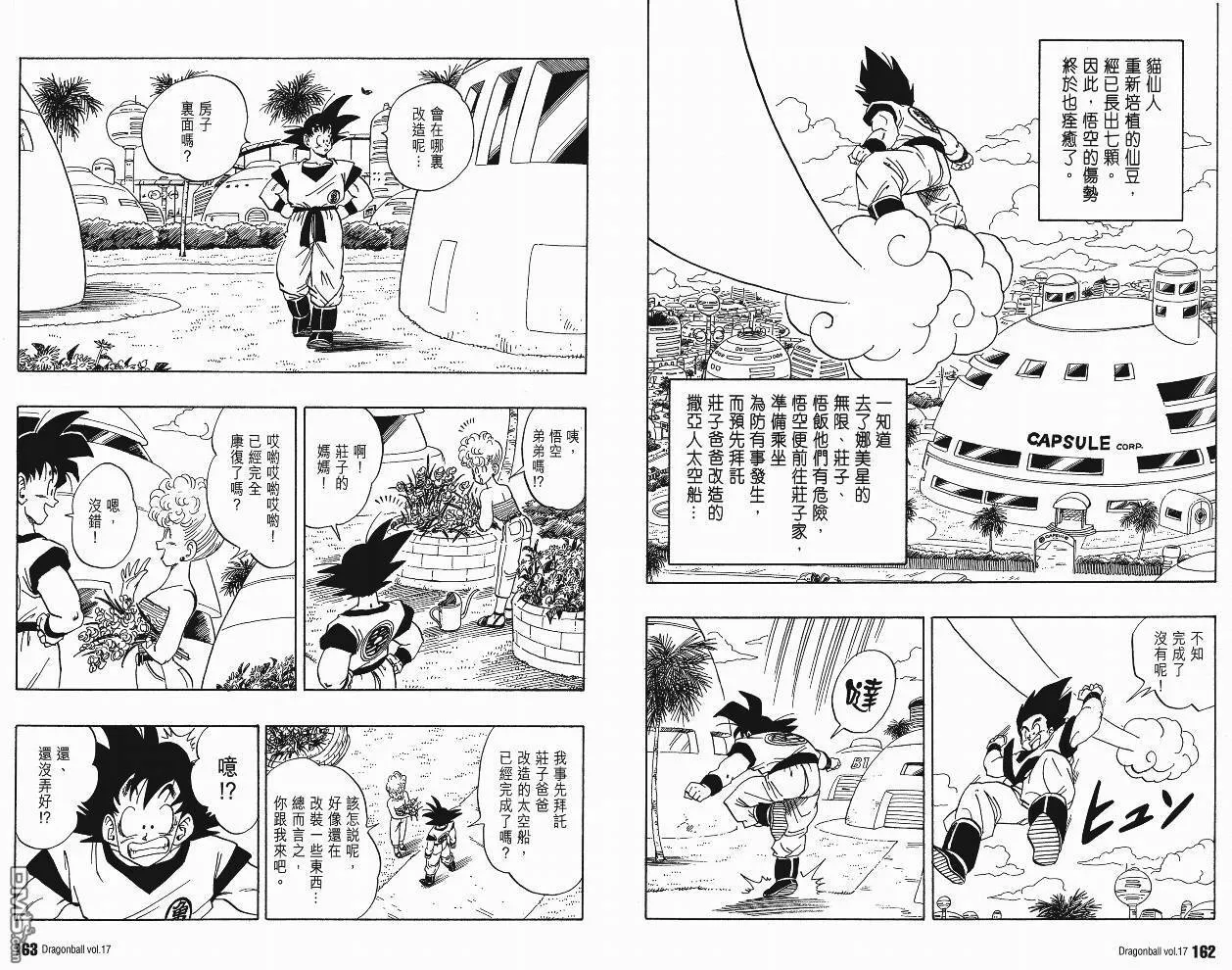 第17卷 第84页