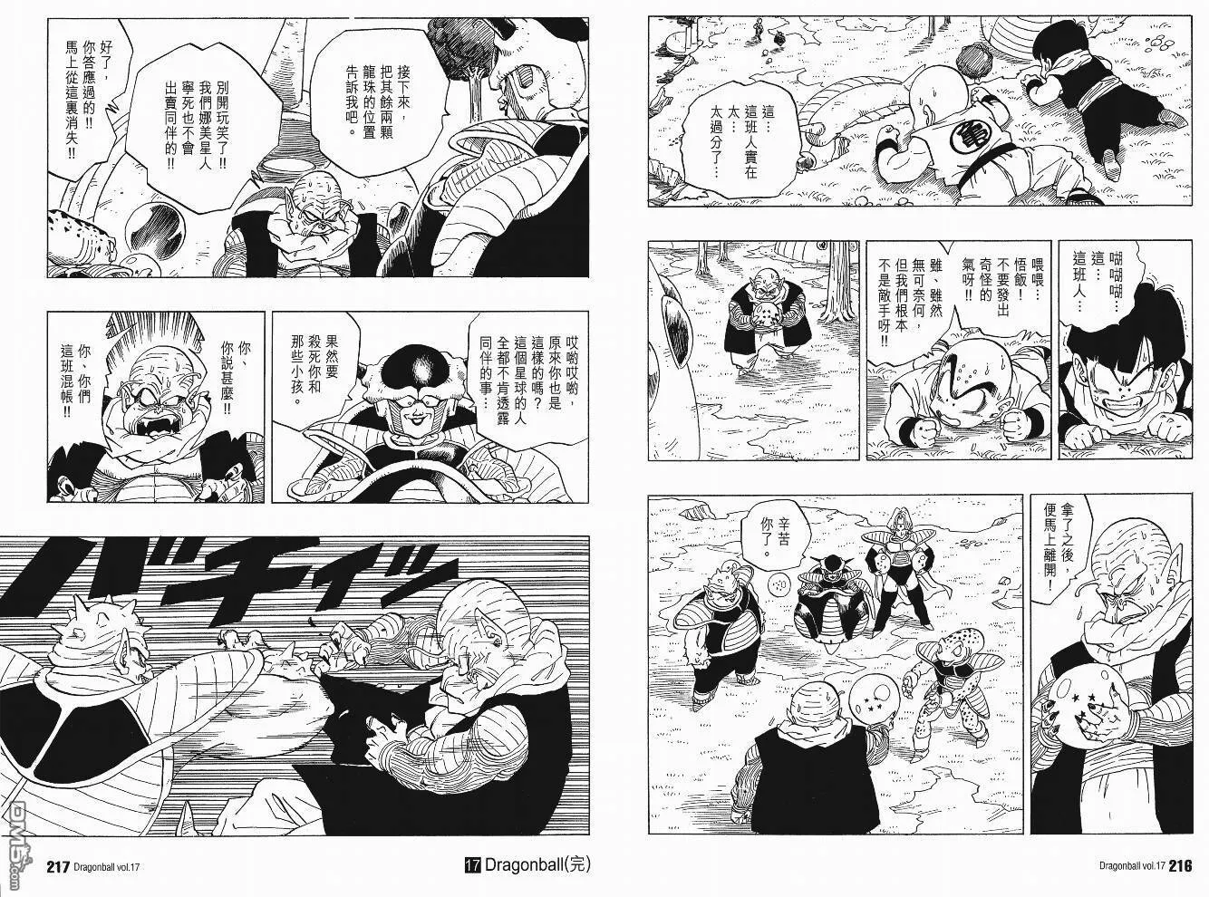 第17卷 第111页