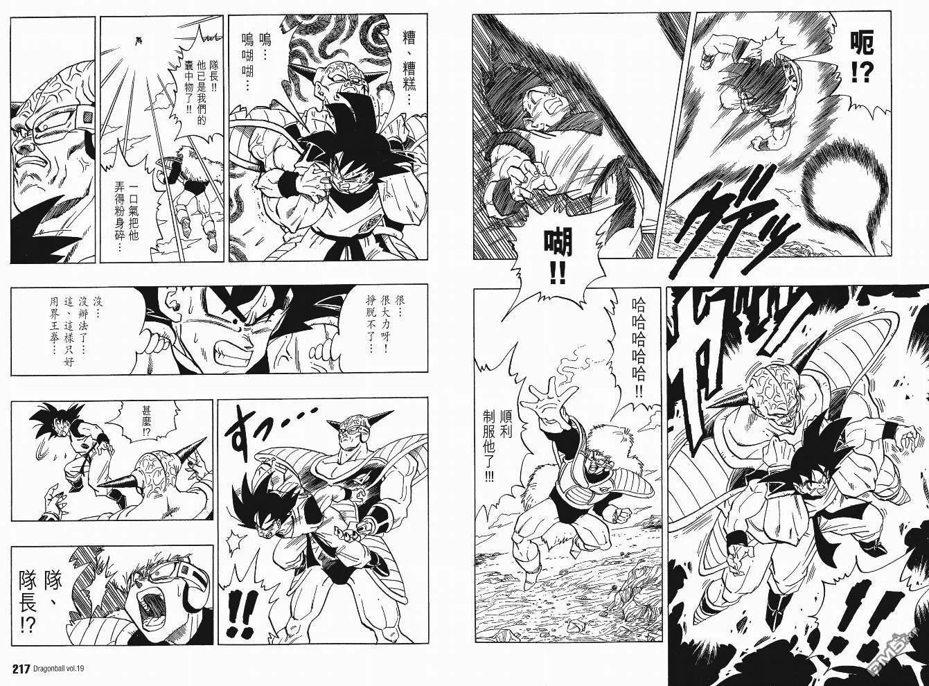 第19卷 第111页