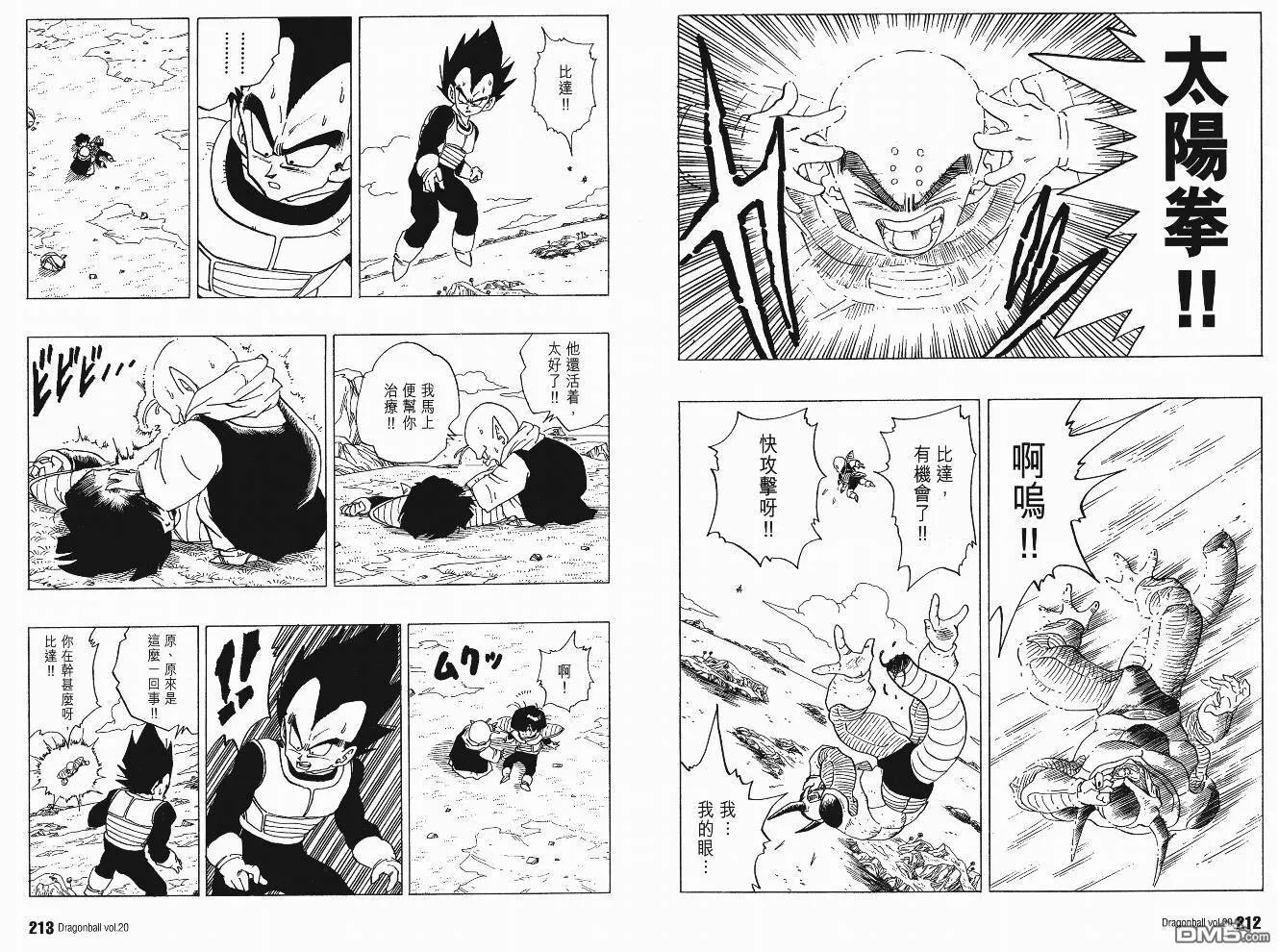 第20卷 第107页