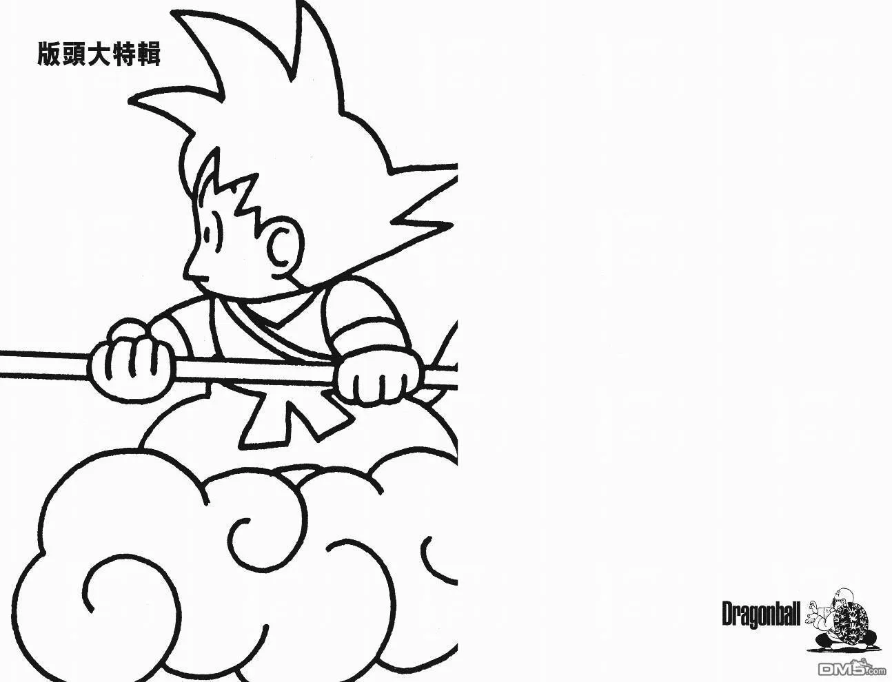第20卷 第110页