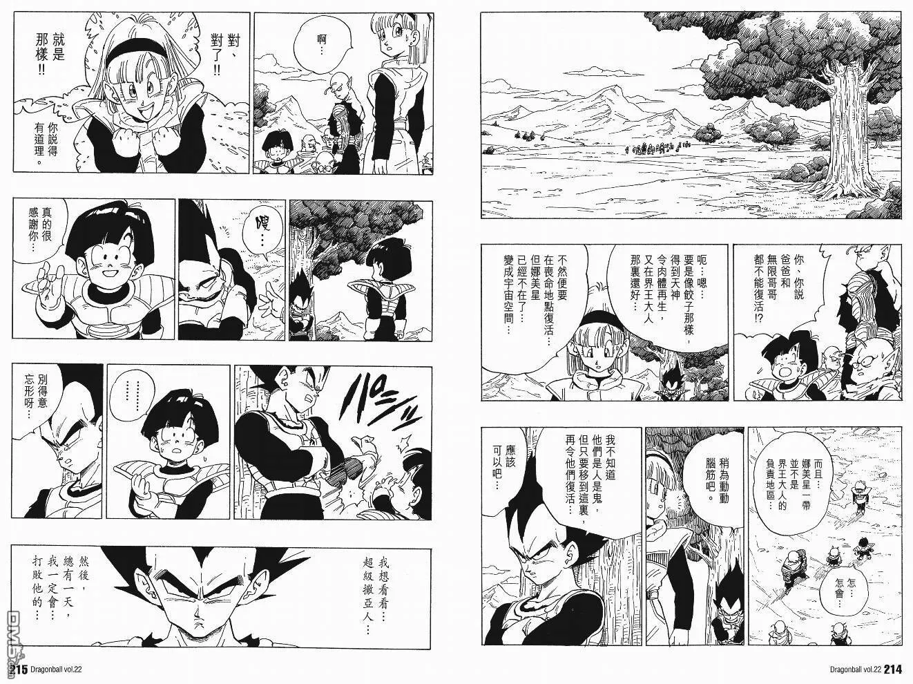 第22卷 第110页