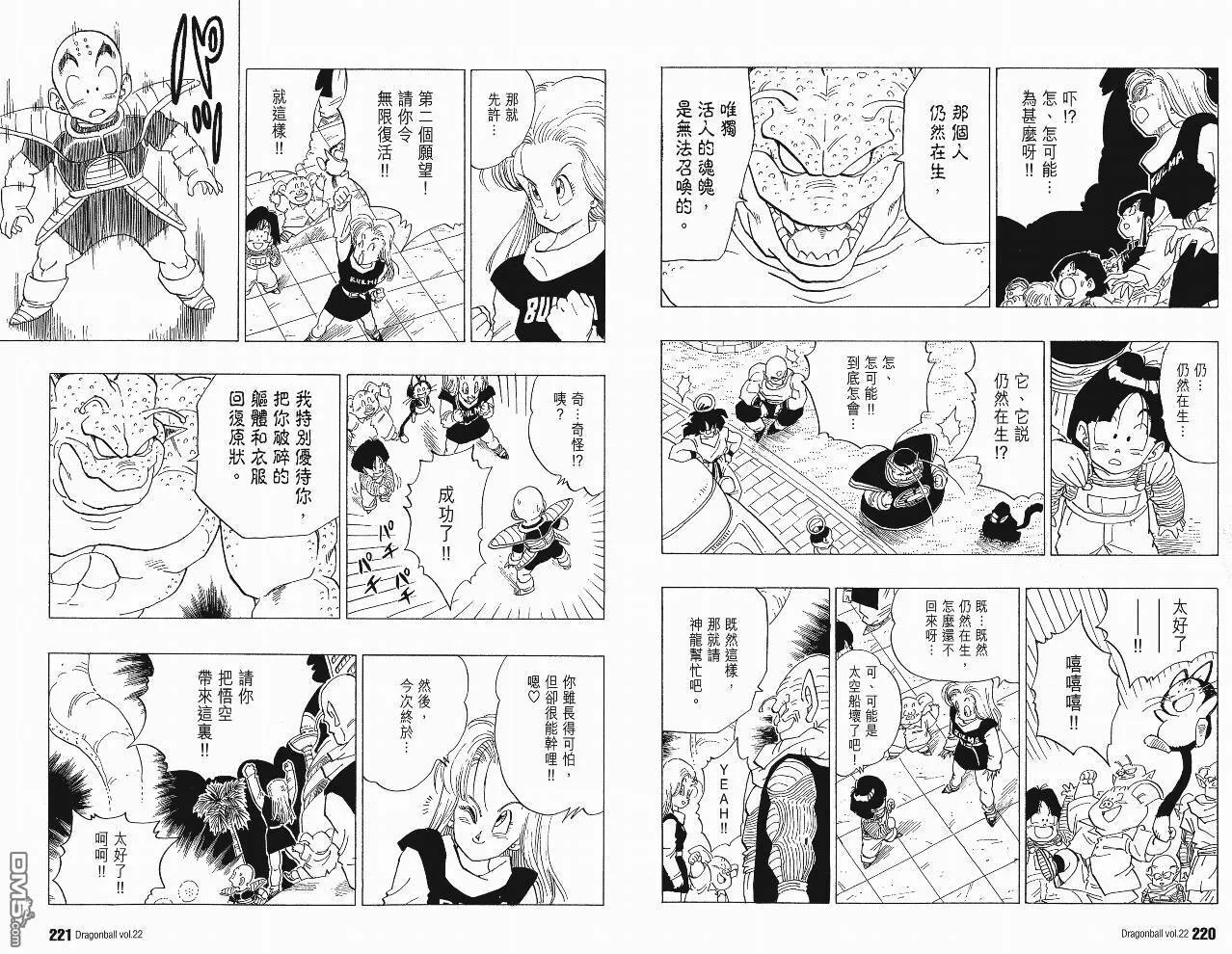 第22卷 第113页