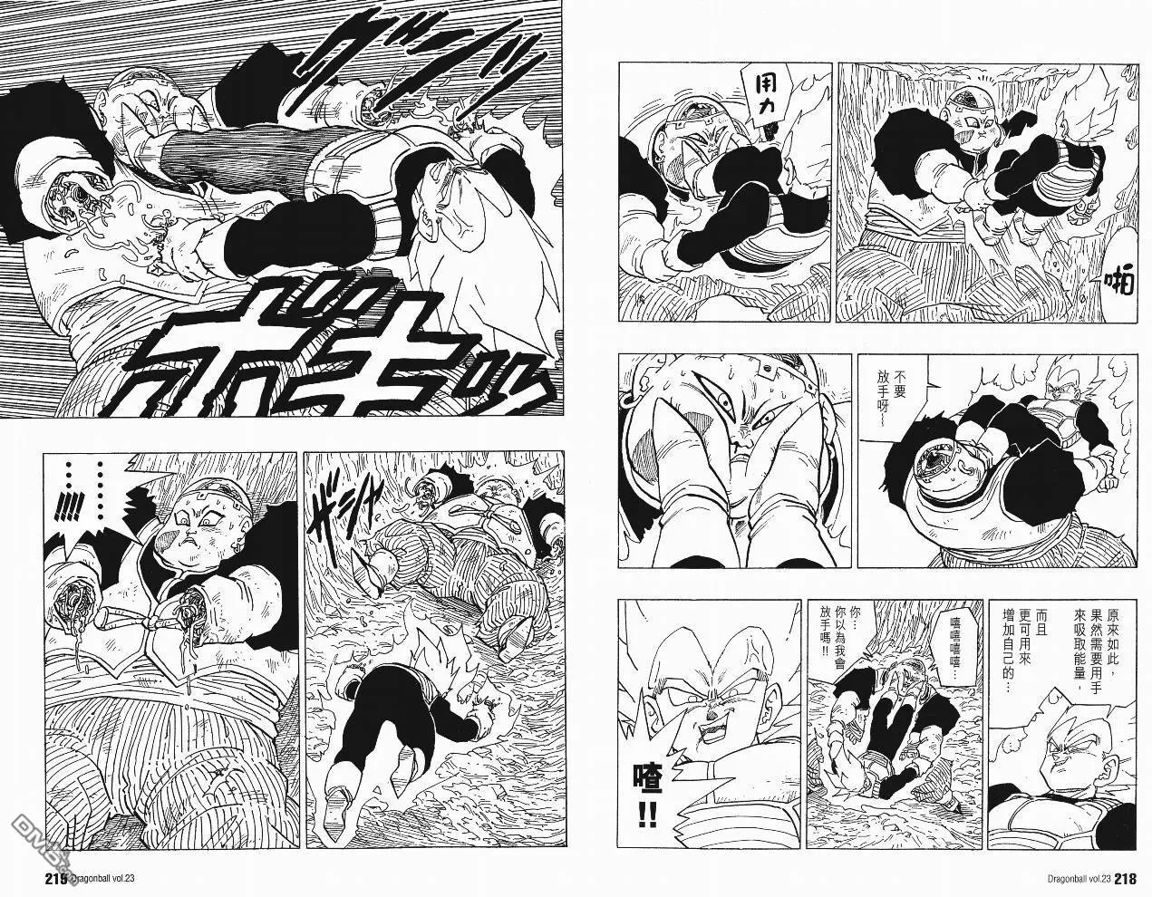 第23卷 第112页