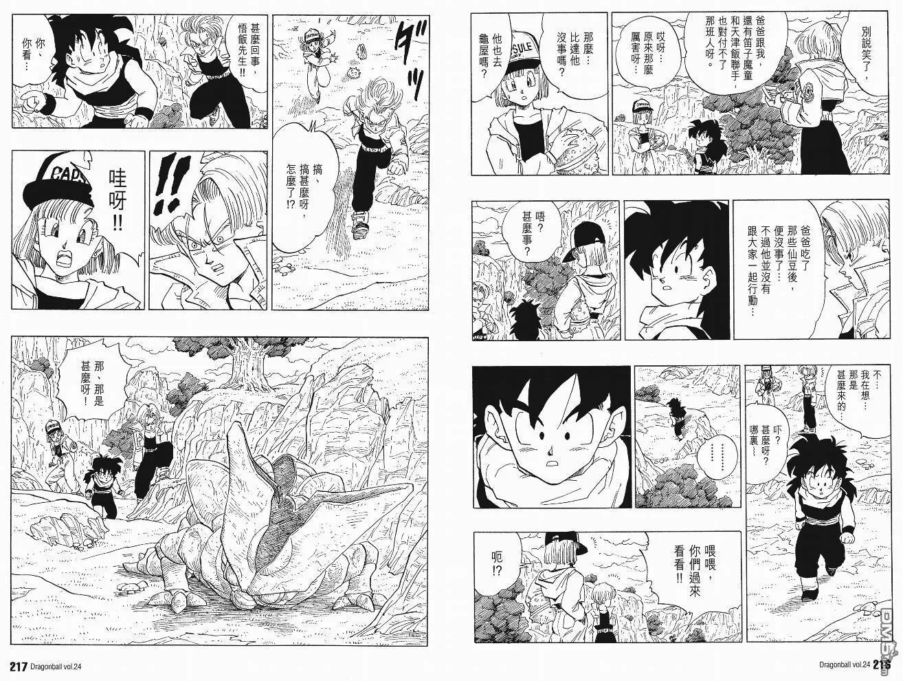 第24卷 第111页