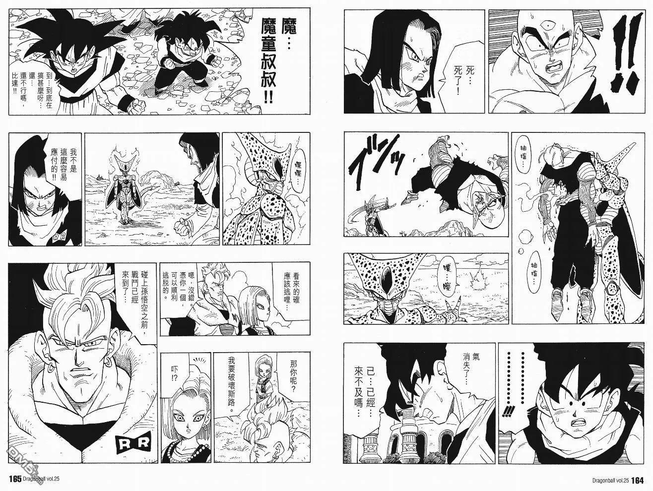 第25卷 第85页