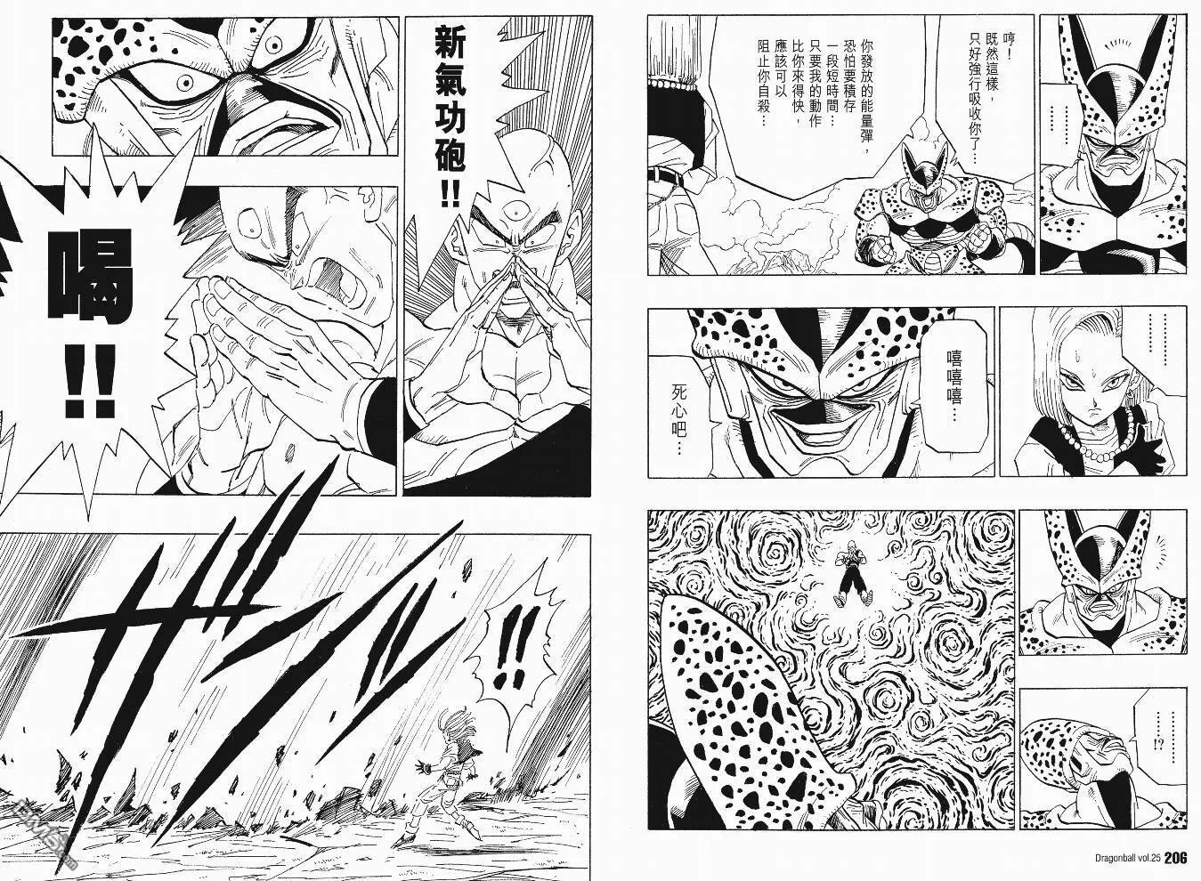 第25卷 第106页