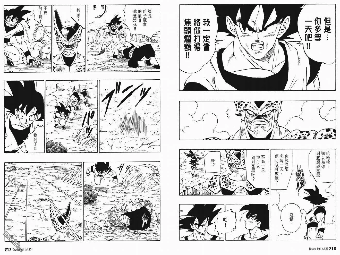 第25卷 第111页