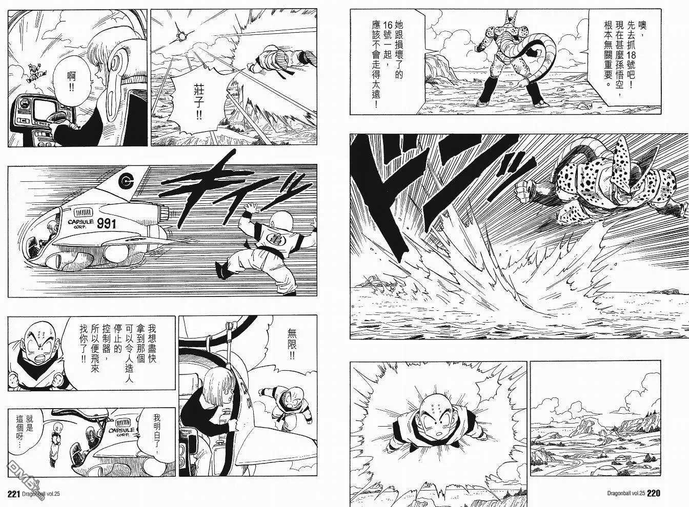 第25卷 第113页