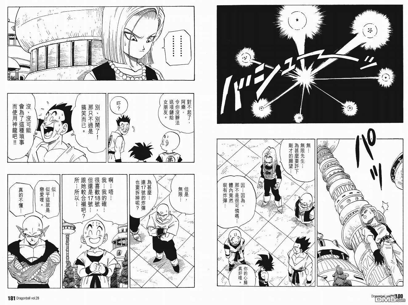 第28卷 第91页
