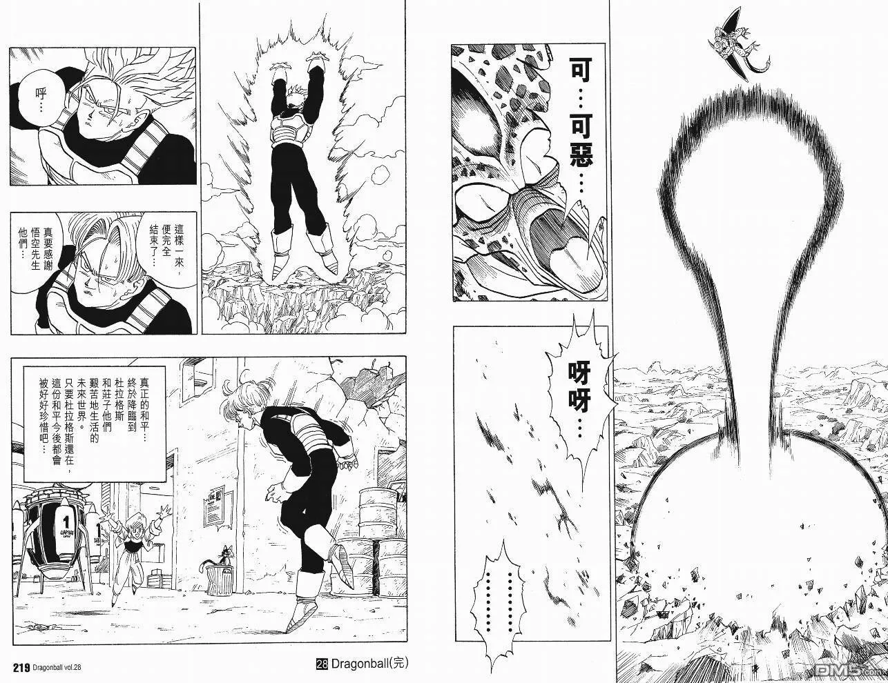 第28卷 第110页