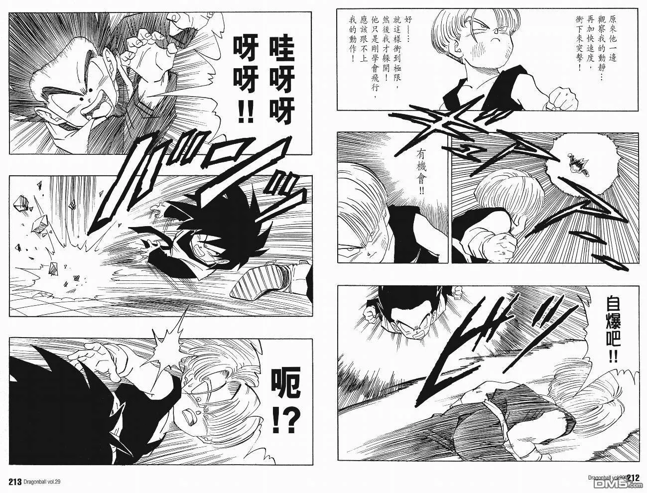 第29卷 第109页