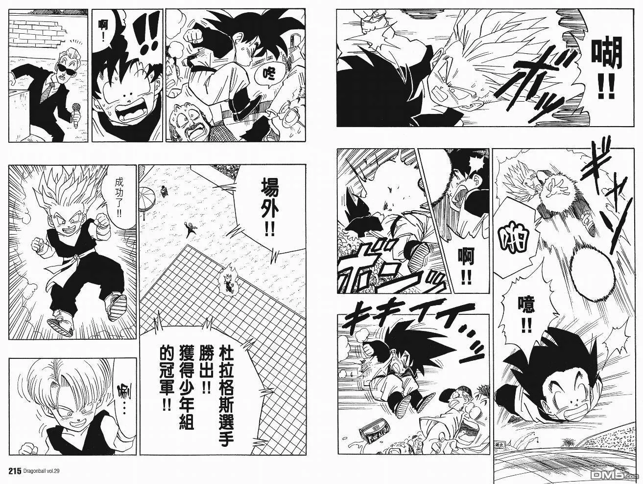 第29卷 第110页