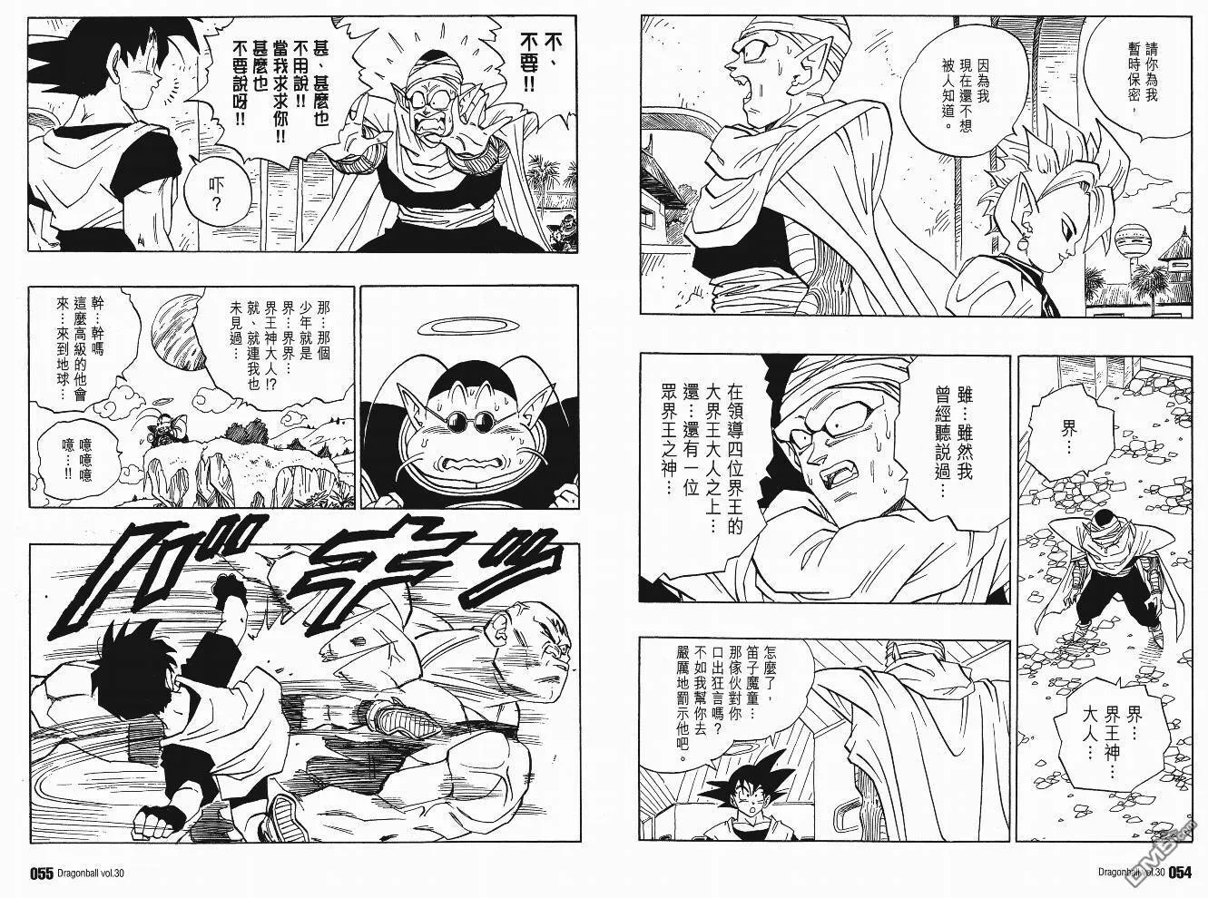 第30卷 第28页