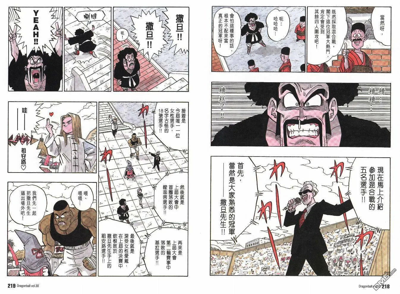 第30卷 第110页