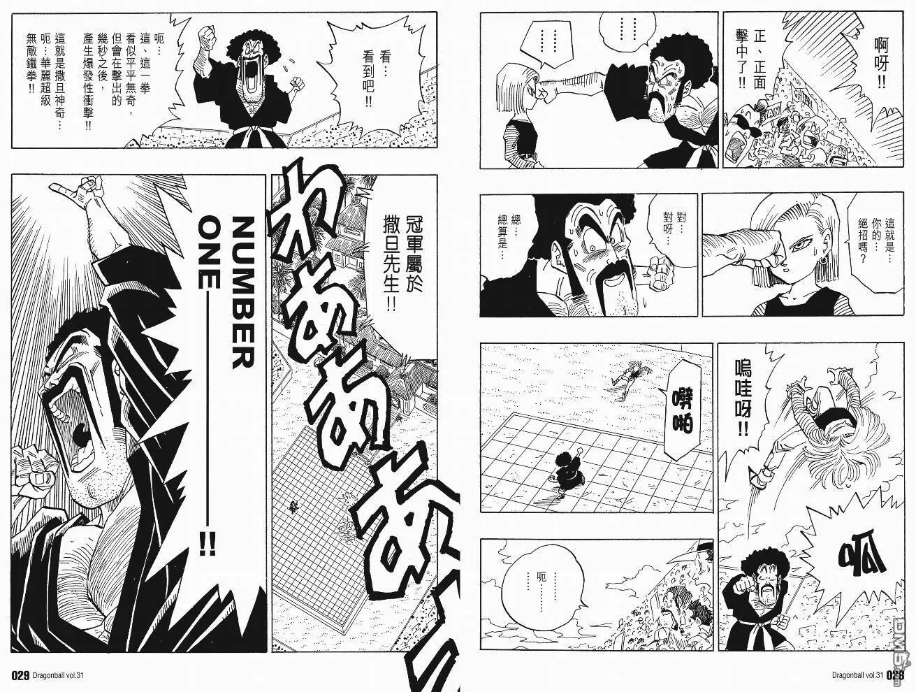 第31卷 第17页