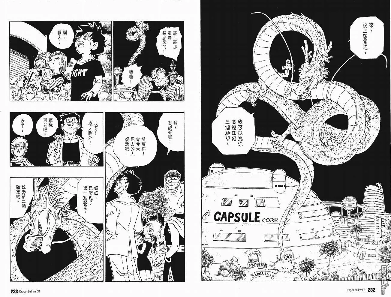 第31卷 第119页
