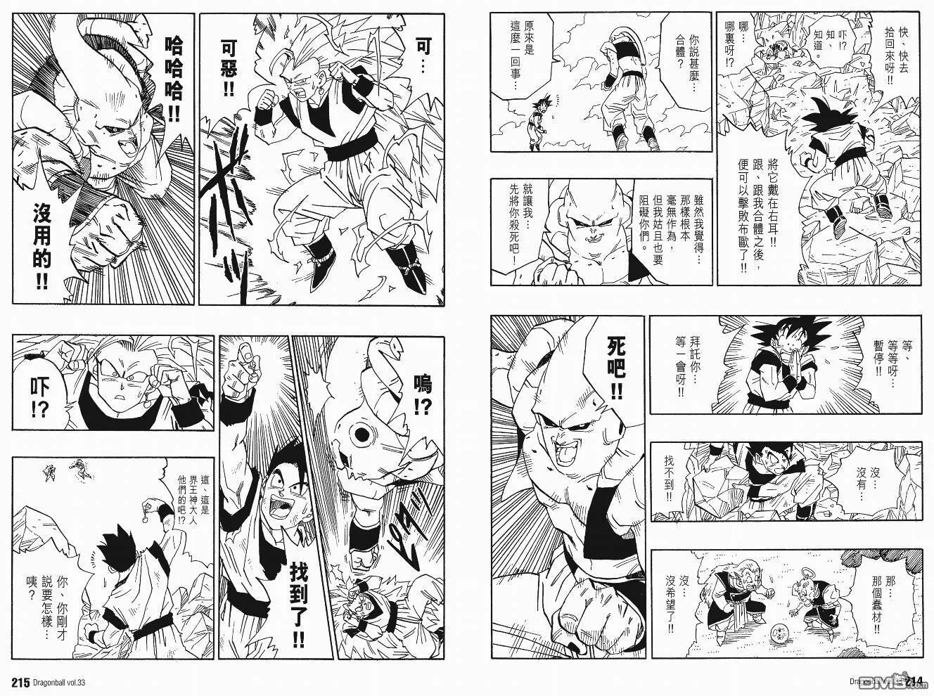 第33卷 第110页