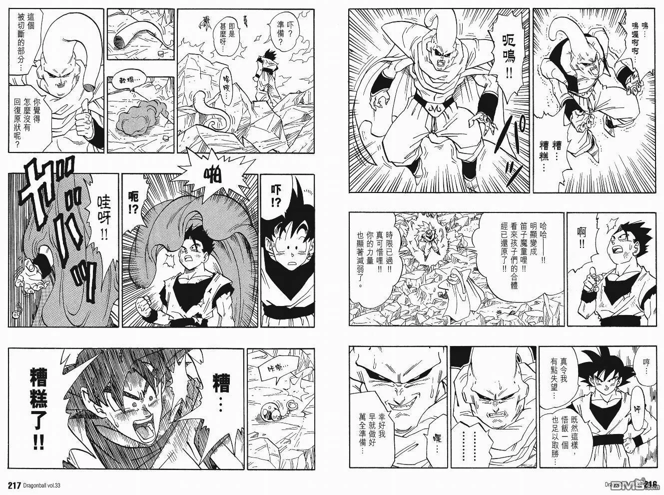 第33卷 第111页