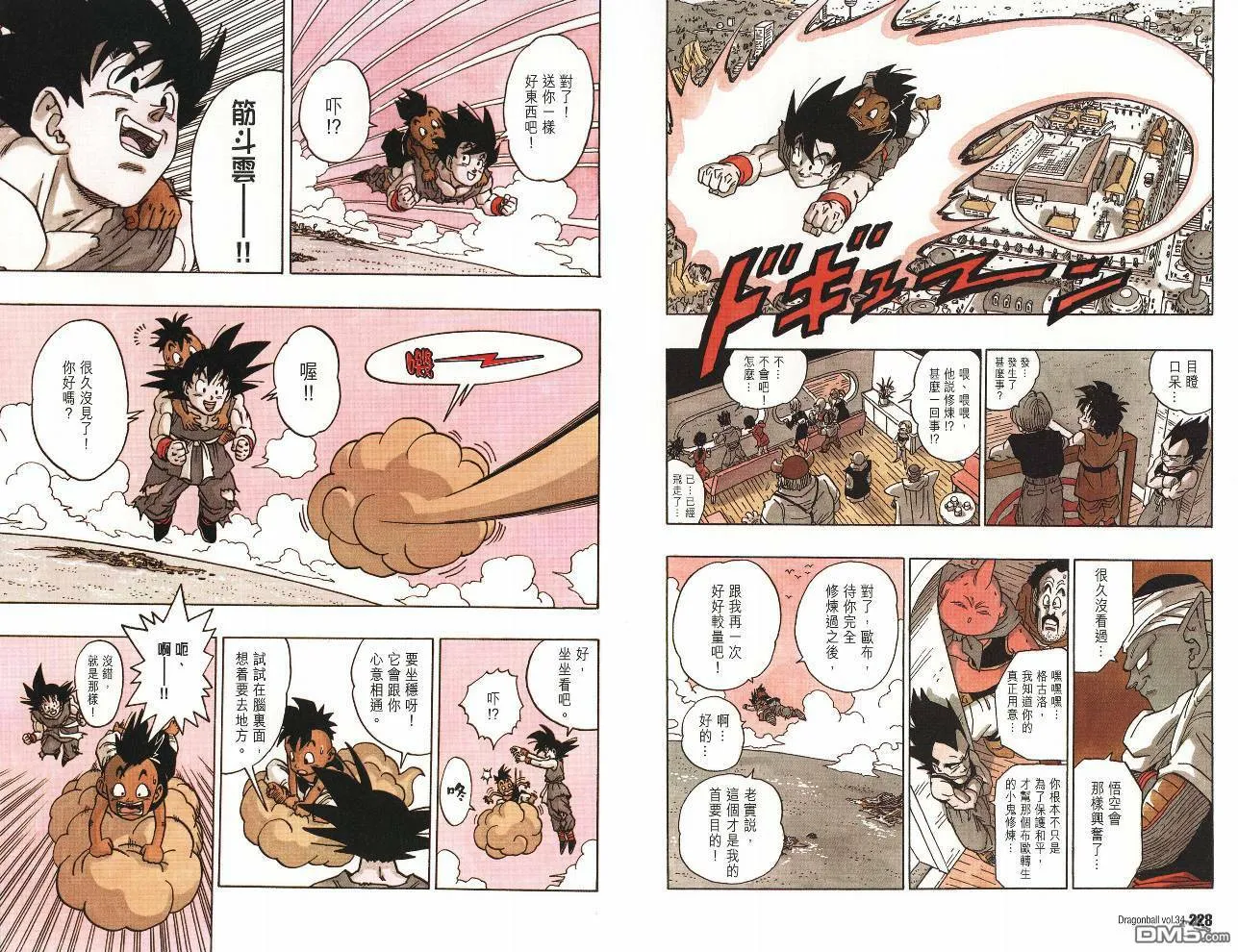 第34卷 第117页