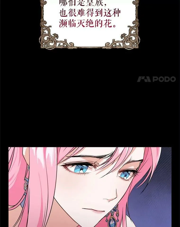 3.魔界之花 第28页