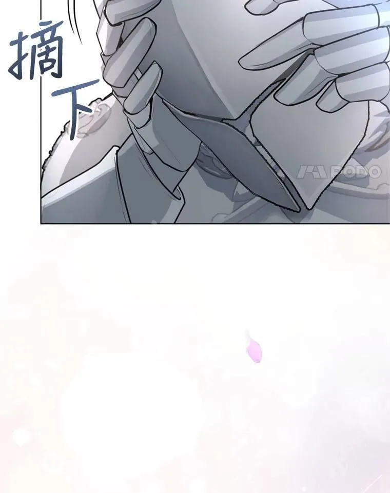 14.护卫骑士 第4页