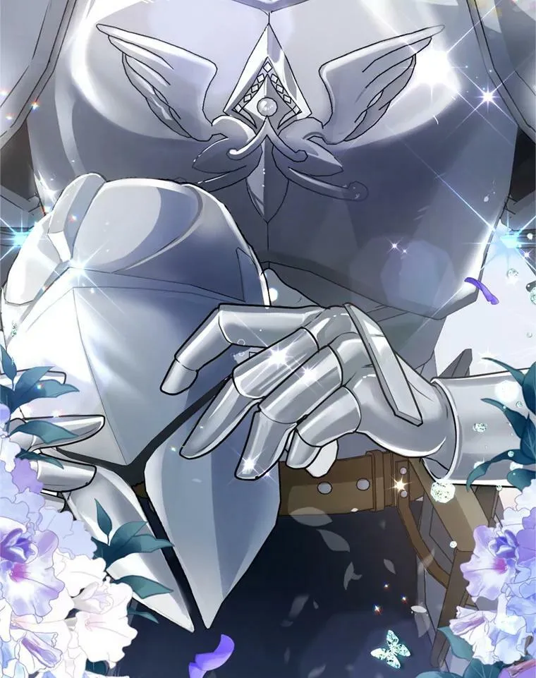 14.护卫骑士 第6页