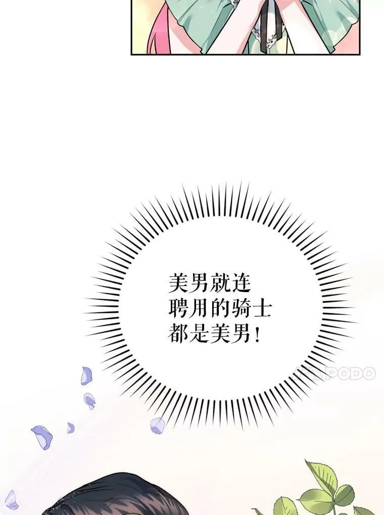 14.护卫骑士 第11页