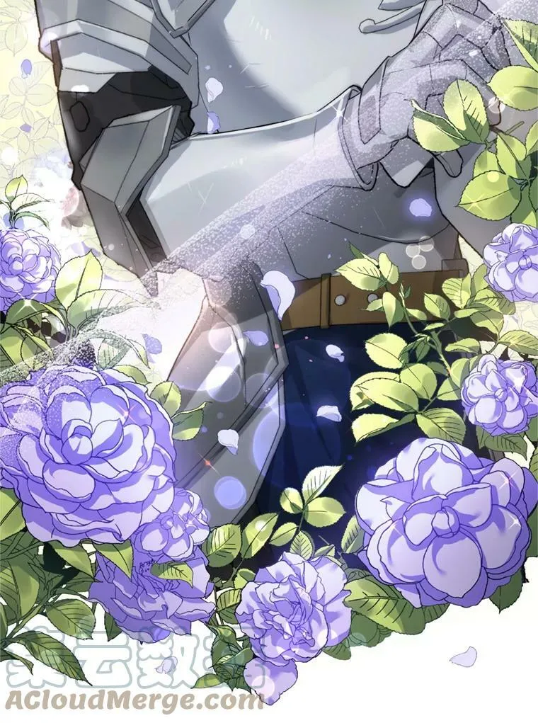 14.护卫骑士 第13页