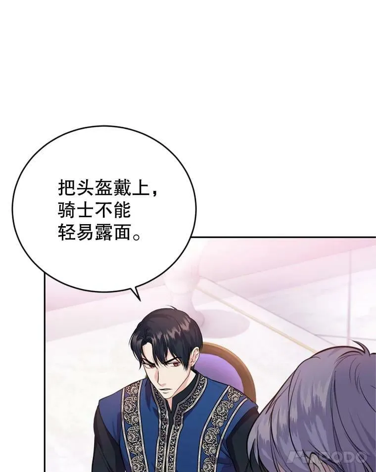 14.护卫骑士 第15页
