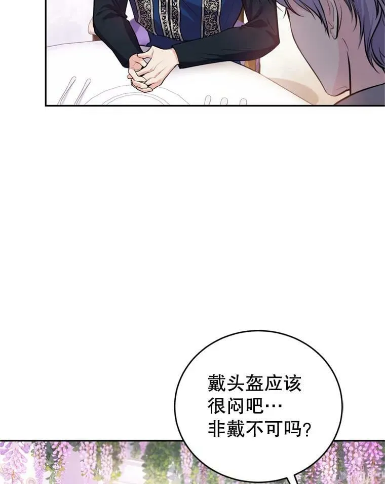 14.护卫骑士 第16页