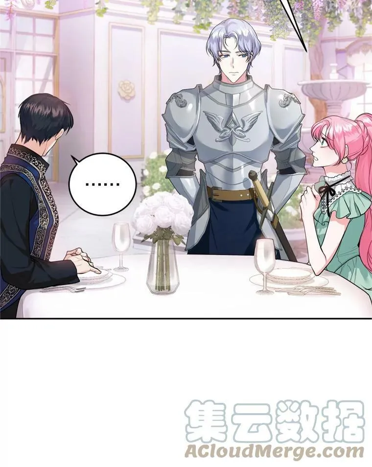 14.护卫骑士 第17页
