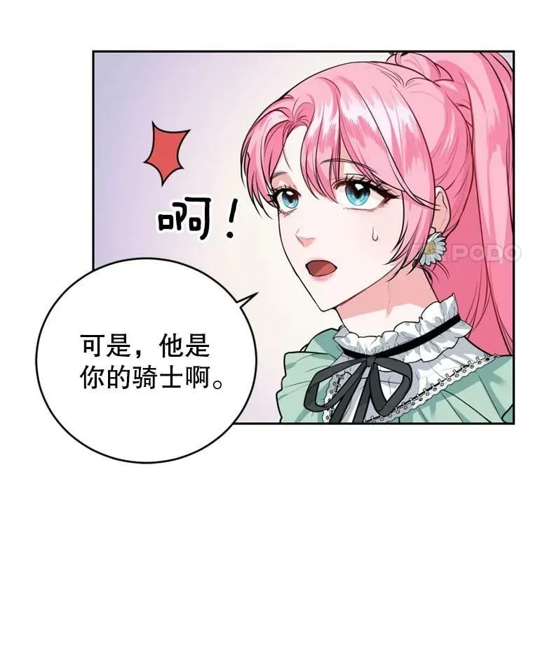14.护卫骑士 第18页