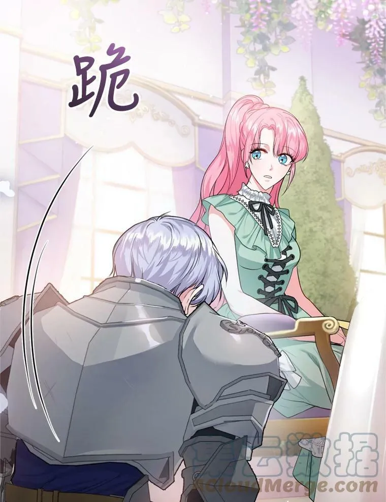 14.护卫骑士 第29页