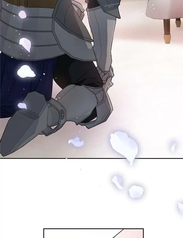 14.护卫骑士 第30页