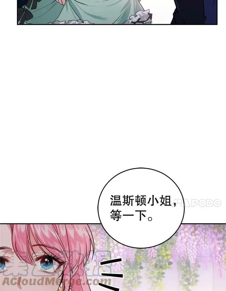 14.护卫骑士 第41页