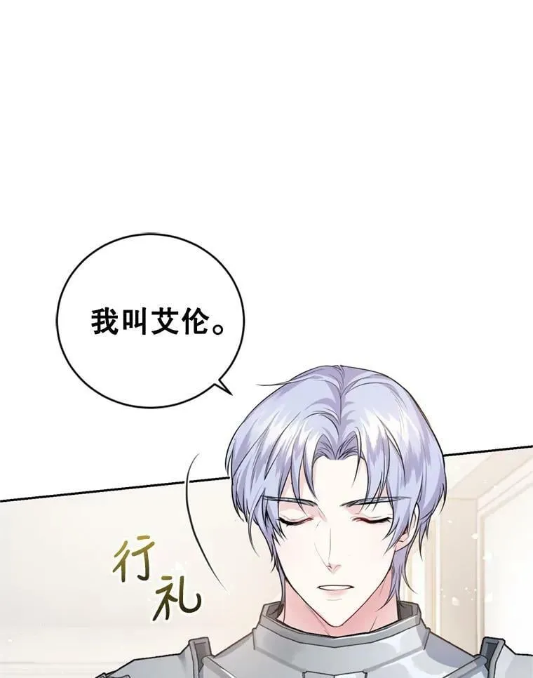 14.护卫骑士 第67页