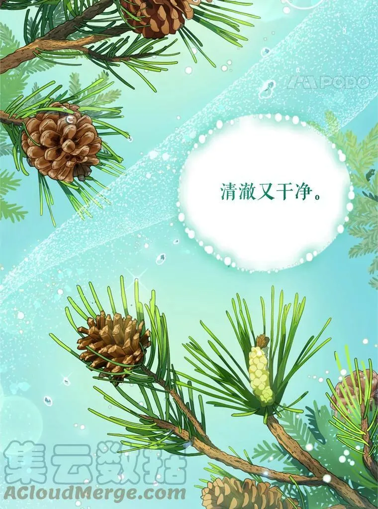 14.护卫骑士 第81页