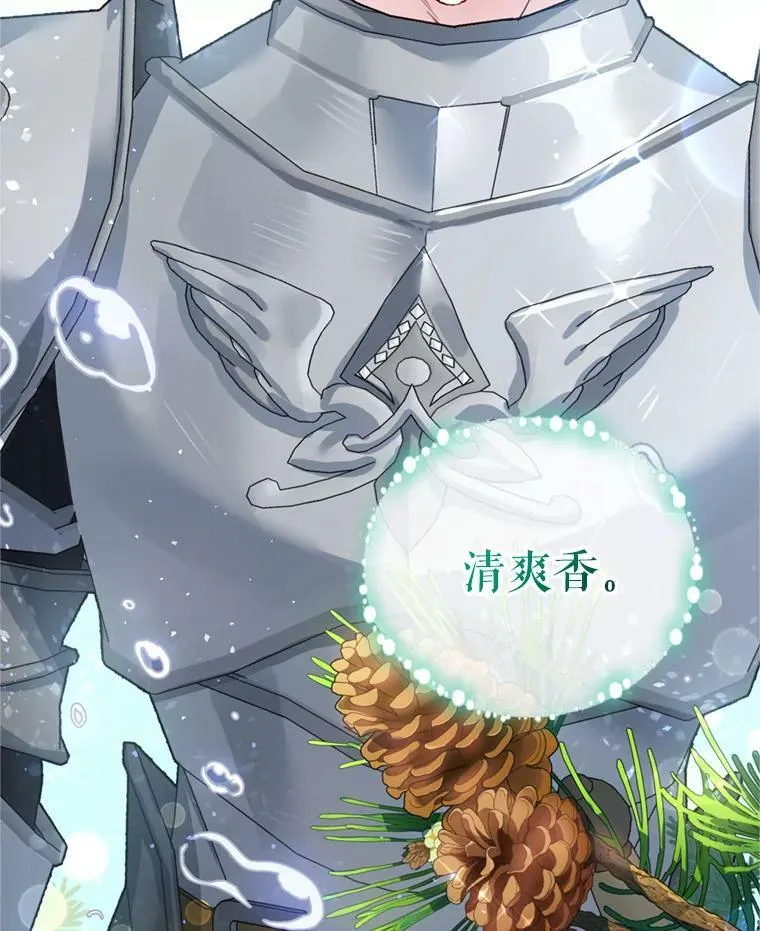 14.护卫骑士 第90页
