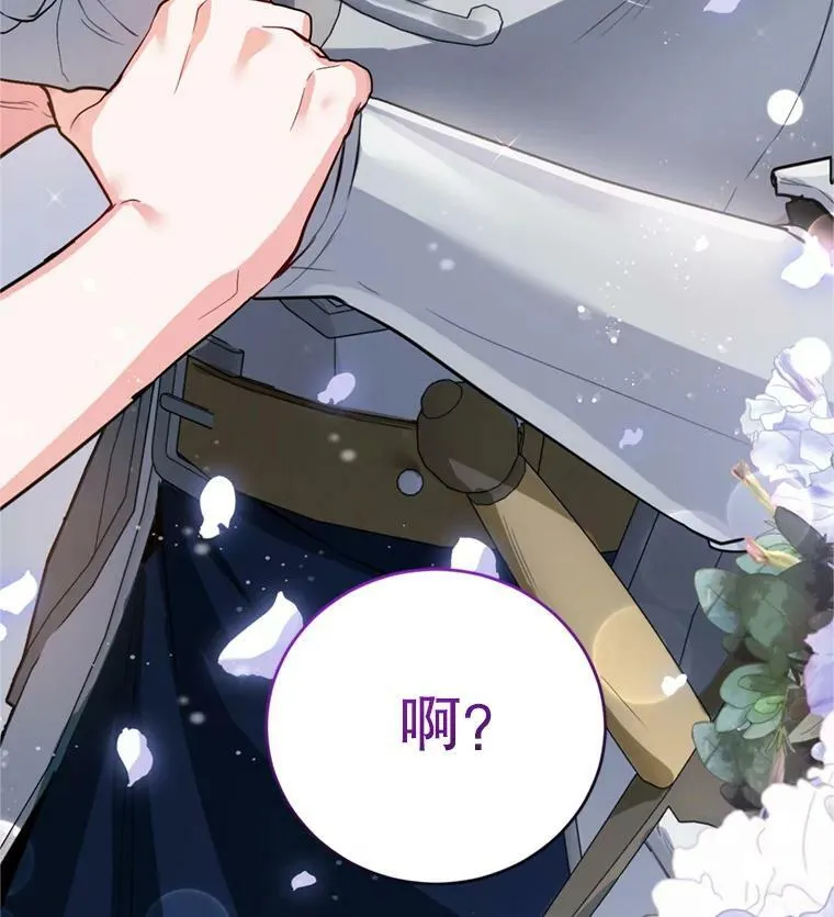 14.护卫骑士 第99页