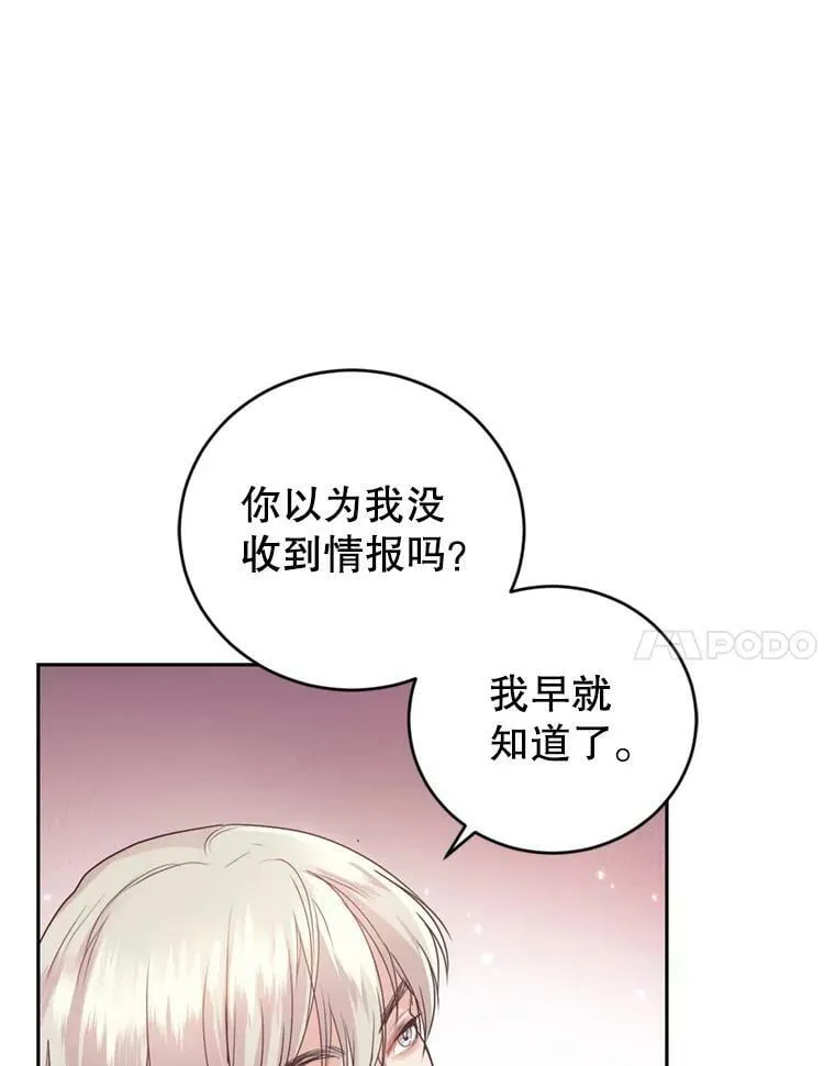 21.麦格诺斯的诡计 第28页