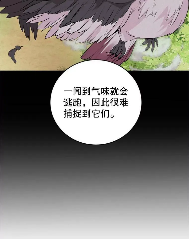 23.寻找斯凯伦（1） 第44页